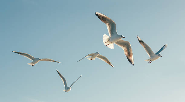 Atlantic Highlands, NJ Reaches New Heights