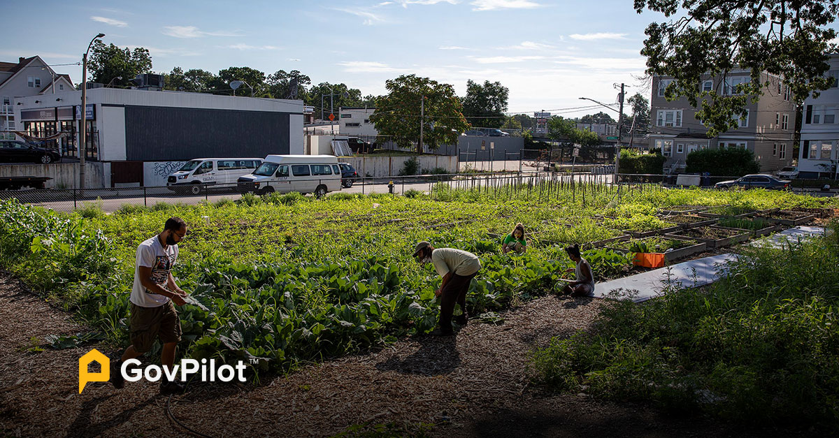 Local Government Community Agriculture Strategy 2023